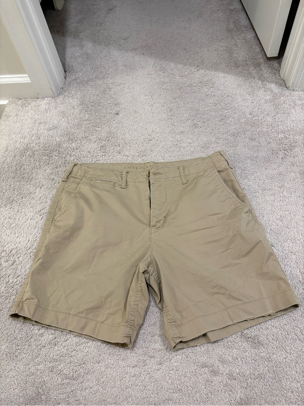 American Eagle Outfitters Men's Tan Flat Front Shorts